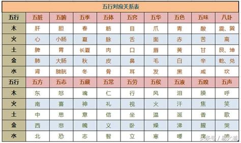 職業算命|細選【八字五行職業】，屬性對應必事半功倍！【社會新鮮人必看。